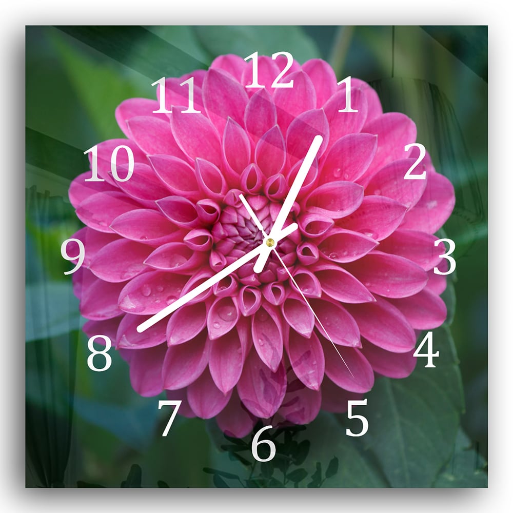 Wanduhr 30x30 - Rosa Dahlie