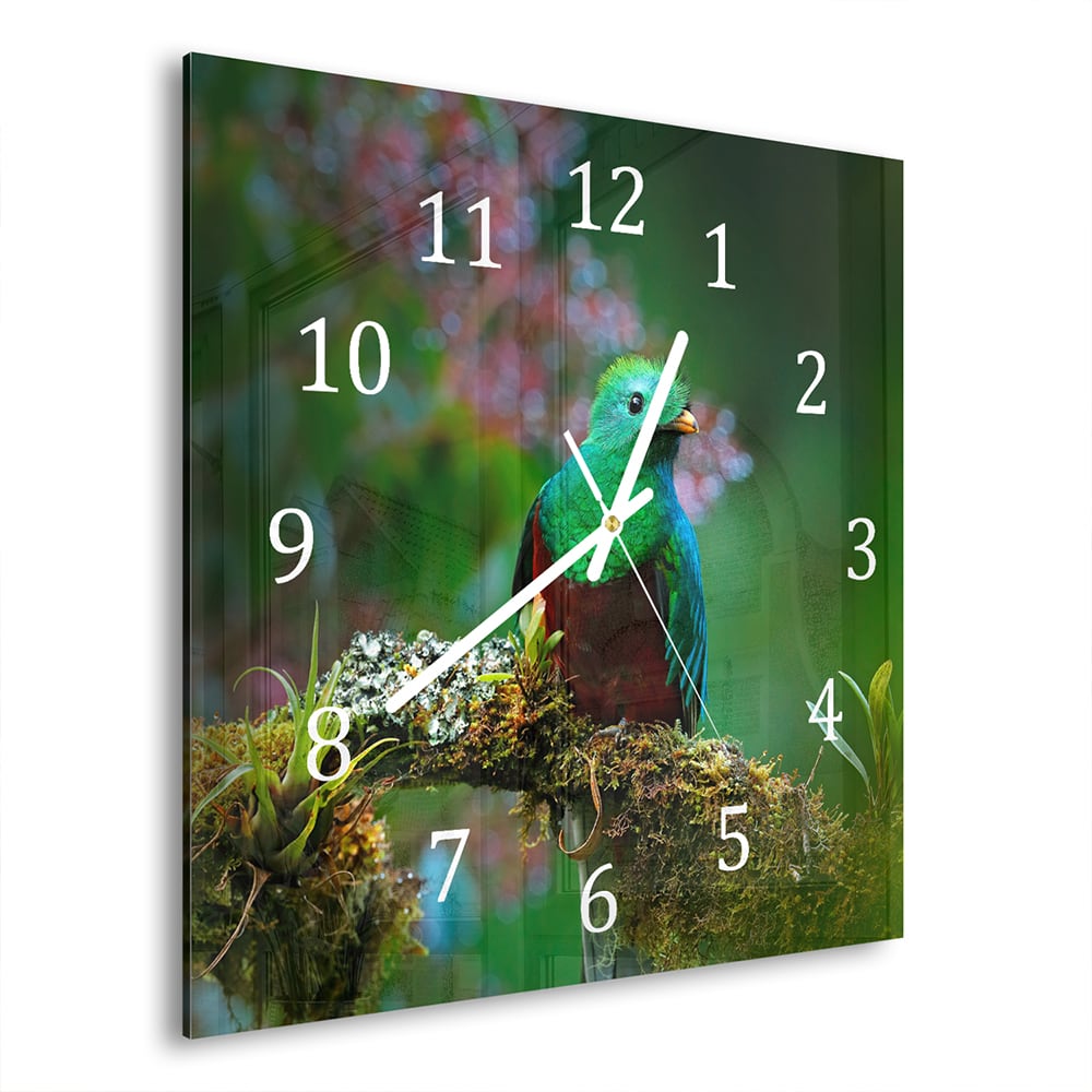 Wanduhr 30x30 - Quetzal-Vogel