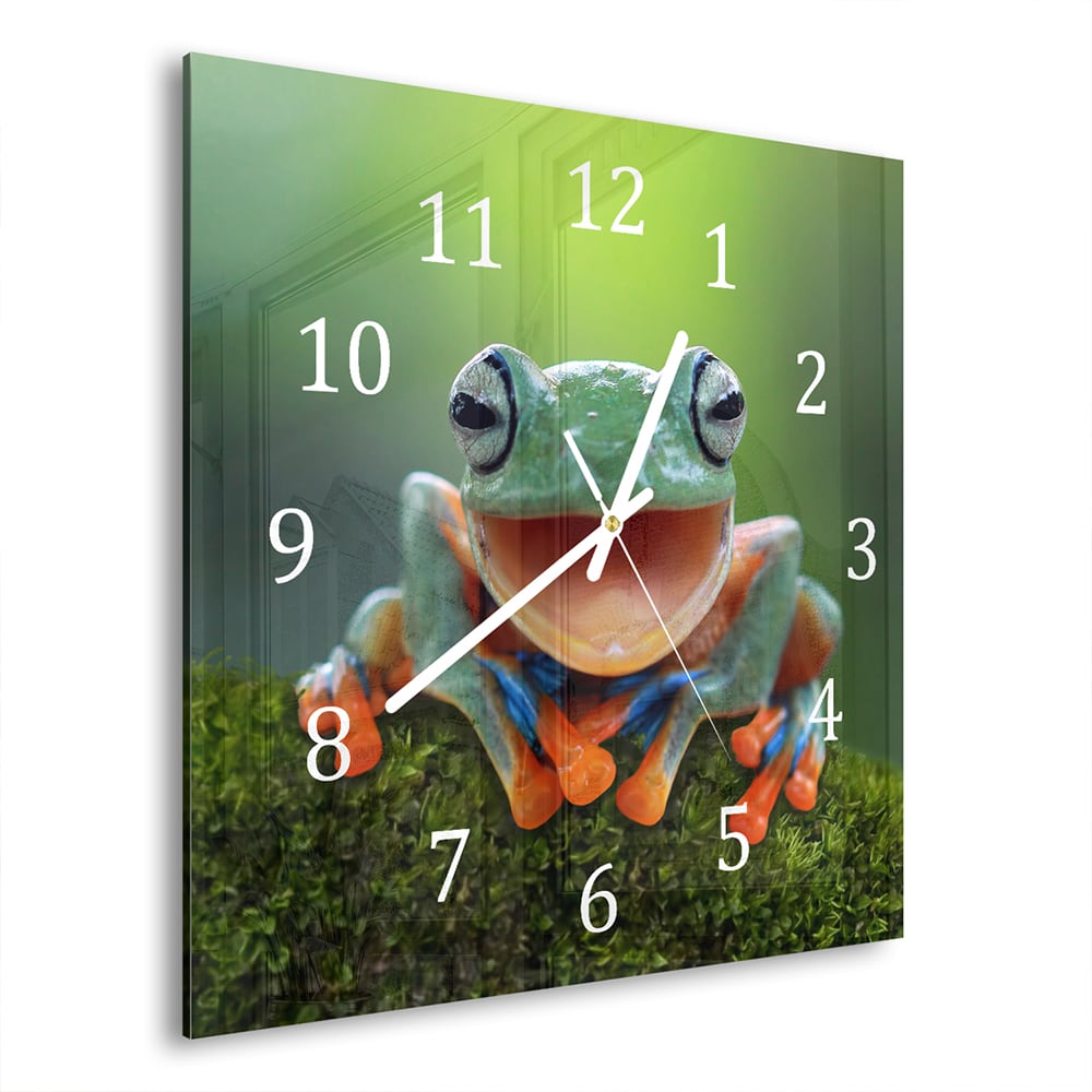 Wanduhr 30x30 - Baumfrosch