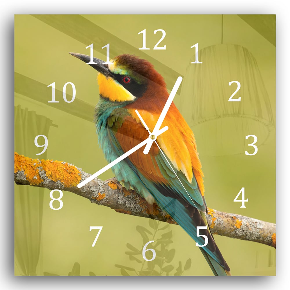 Wanduhr 30x30 - Bunter Vogel