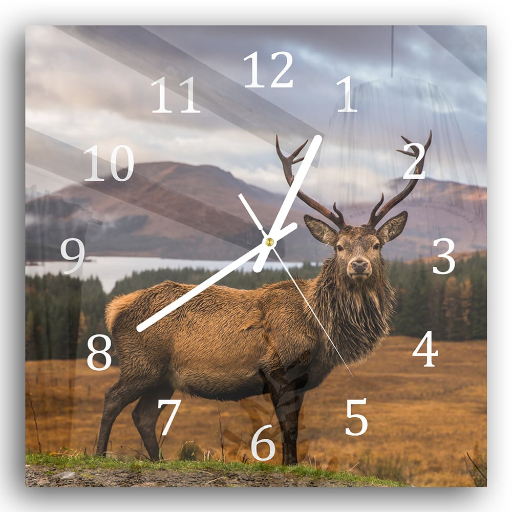 Wanduhr 30x30 - Wildes schottisches Reh