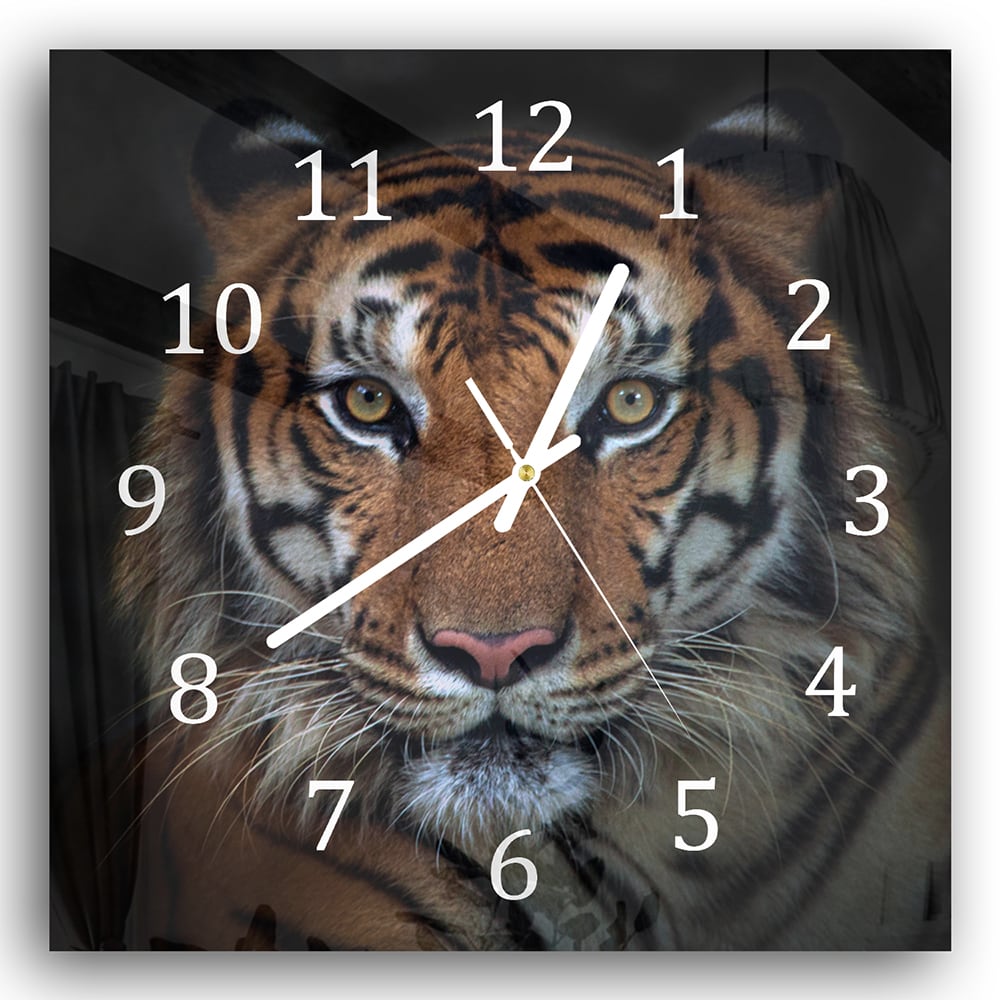 Wanduhr 30x30 - Sumatra böser Tiger