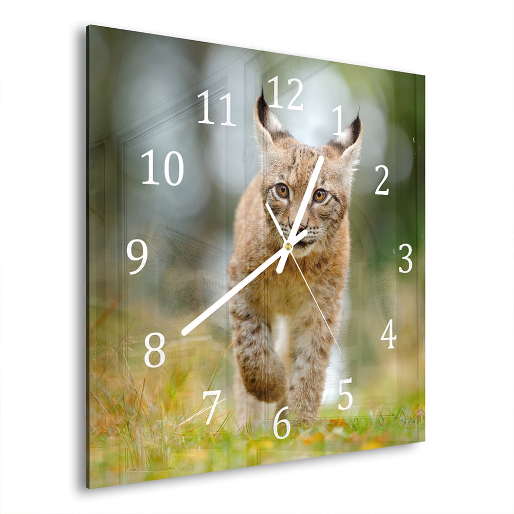 Wanduhr 30x30 - Junger Luchs