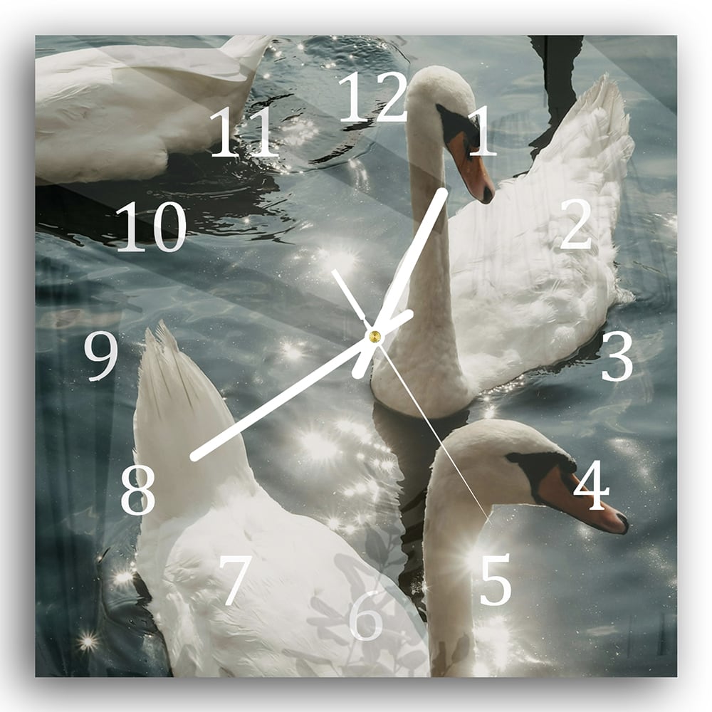 Wanduhr 30x30 - Schwäne in der Sonne