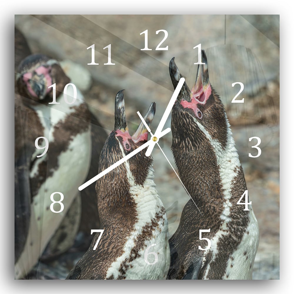 Wanduhr 30x30 - Fröhliche Pinguine