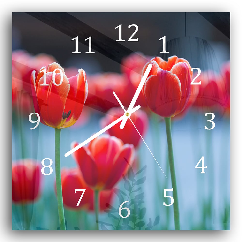 Wanduhr 30x30 - Rote Tulpen
