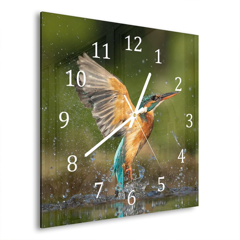 Wanduhr 30x30 - Eisvogel