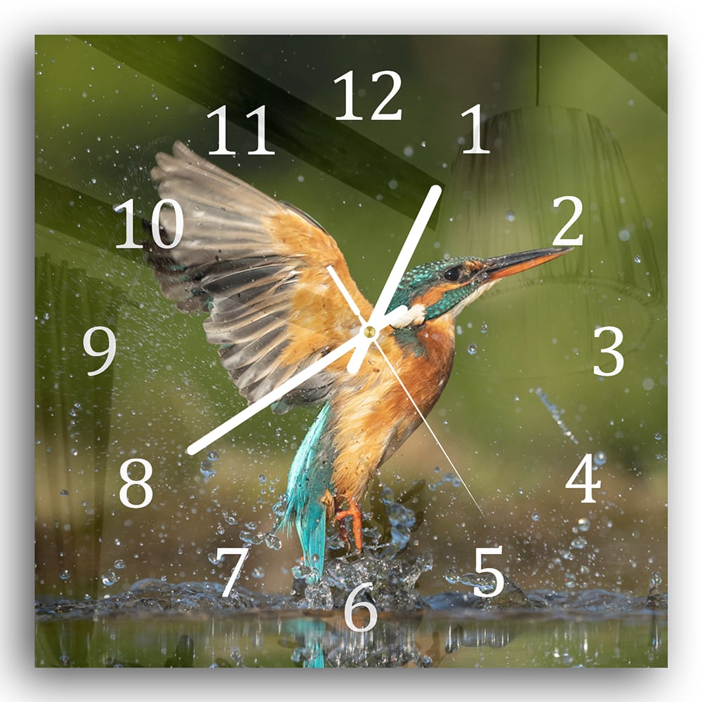 Wanduhr 30x30 - Eisvogel