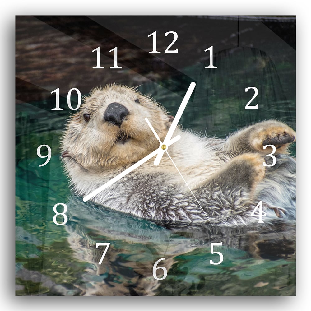 Wanduhr 30x30 - Seeotter