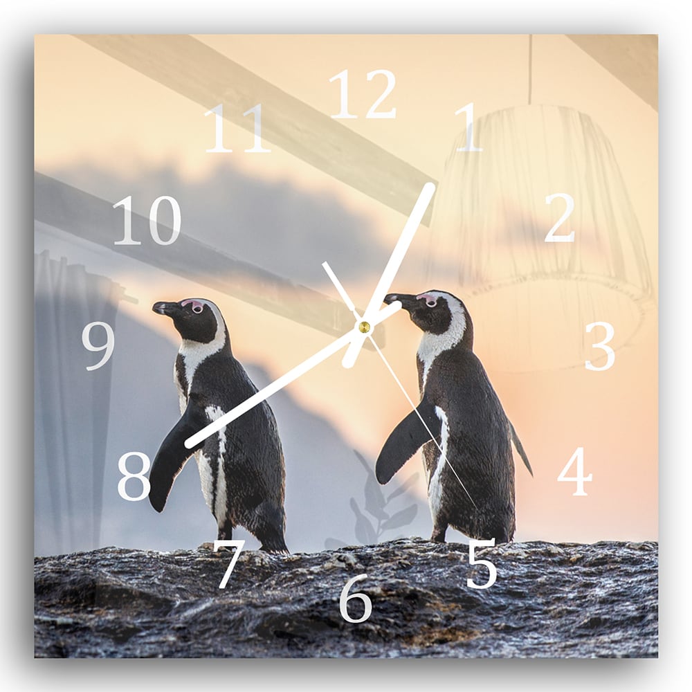 Wanduhr 30x30 - Afrikanische Pinguine