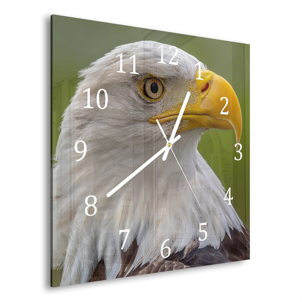 Wanduhr 30x30 - Seeadler