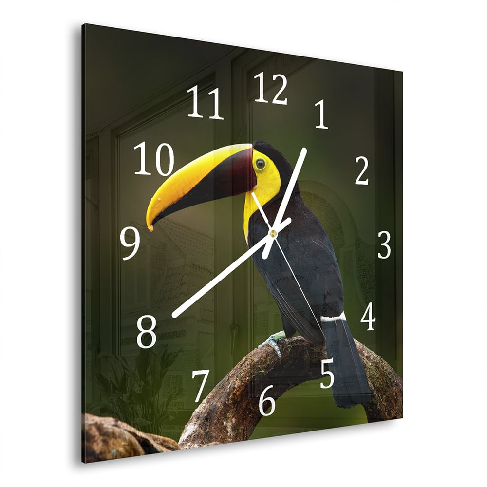 Wanduhr 30x30 - Tropischer Vogel