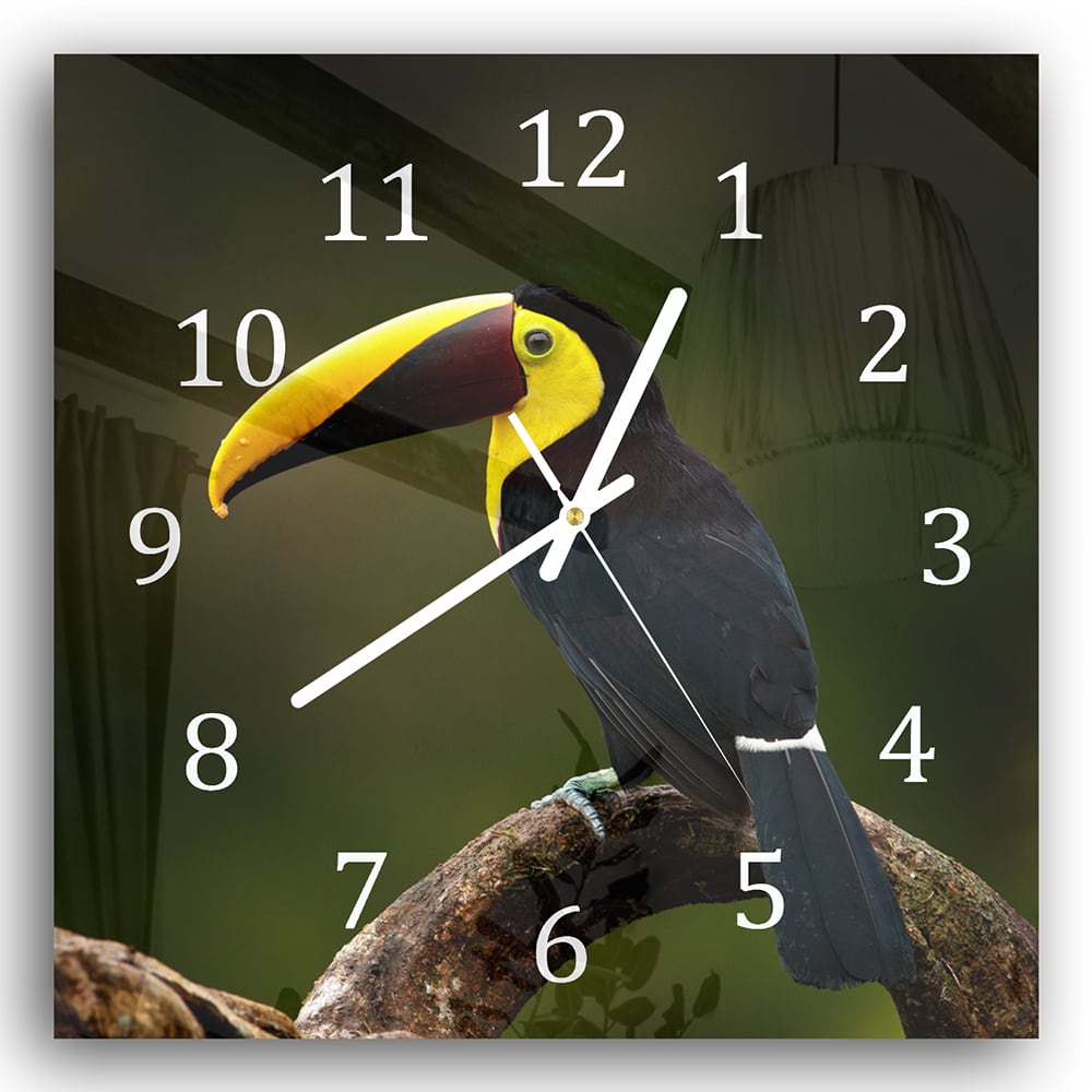 Wanduhr 30x30 - Tropischer Vogel