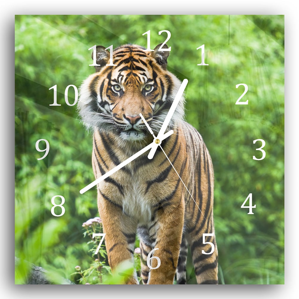 Wanduhr 30x30 - Bengalischer Tiger