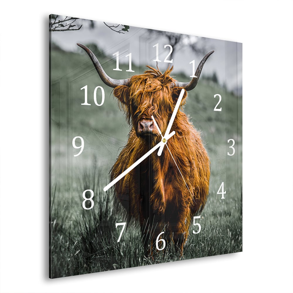 Wanduhr 30x30 - Schottisches Hochlandrind