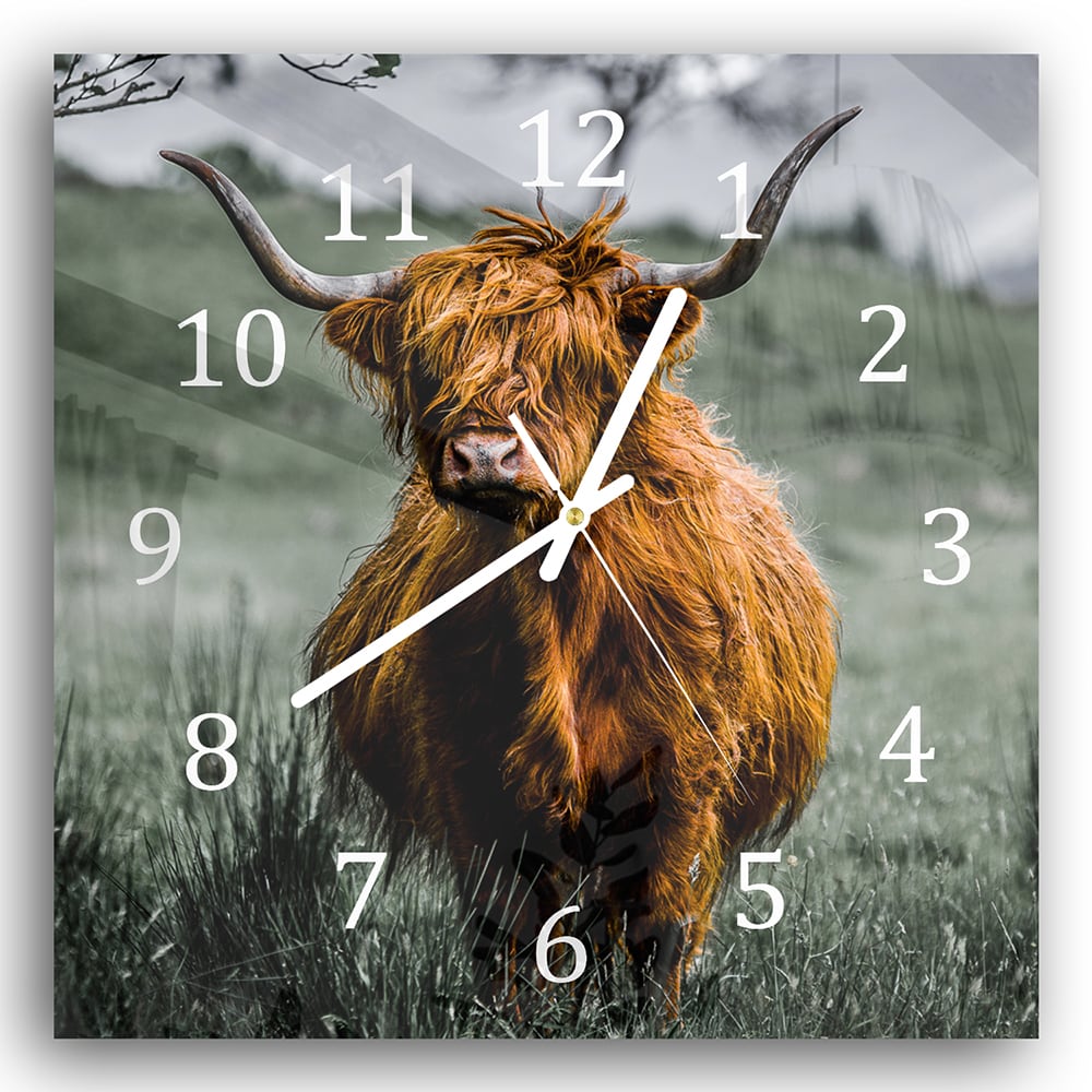 Wanduhr 30x30 - Schottisches Hochlandrind