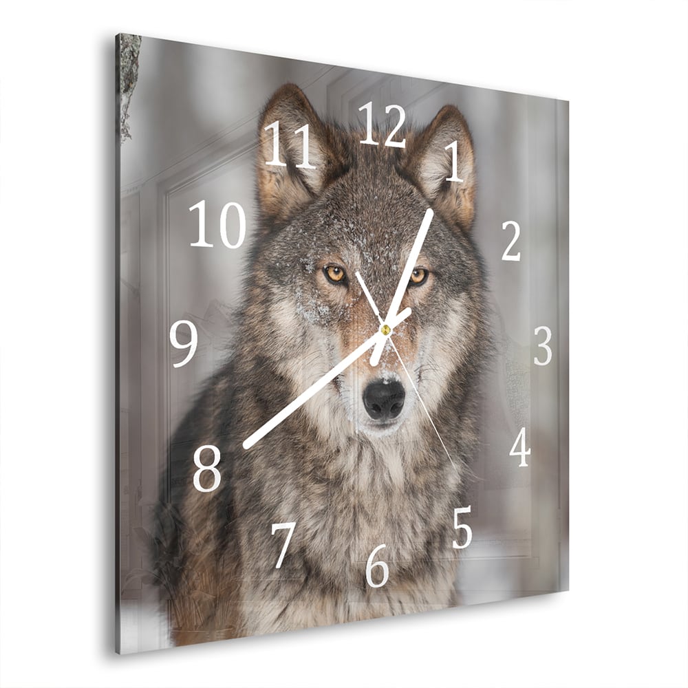 Wanduhr 30x30 - Grauer Wolf