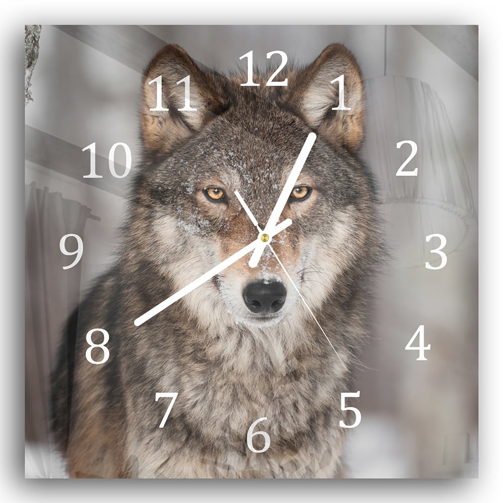 Wanduhr 30x30 - Grauer Wolf