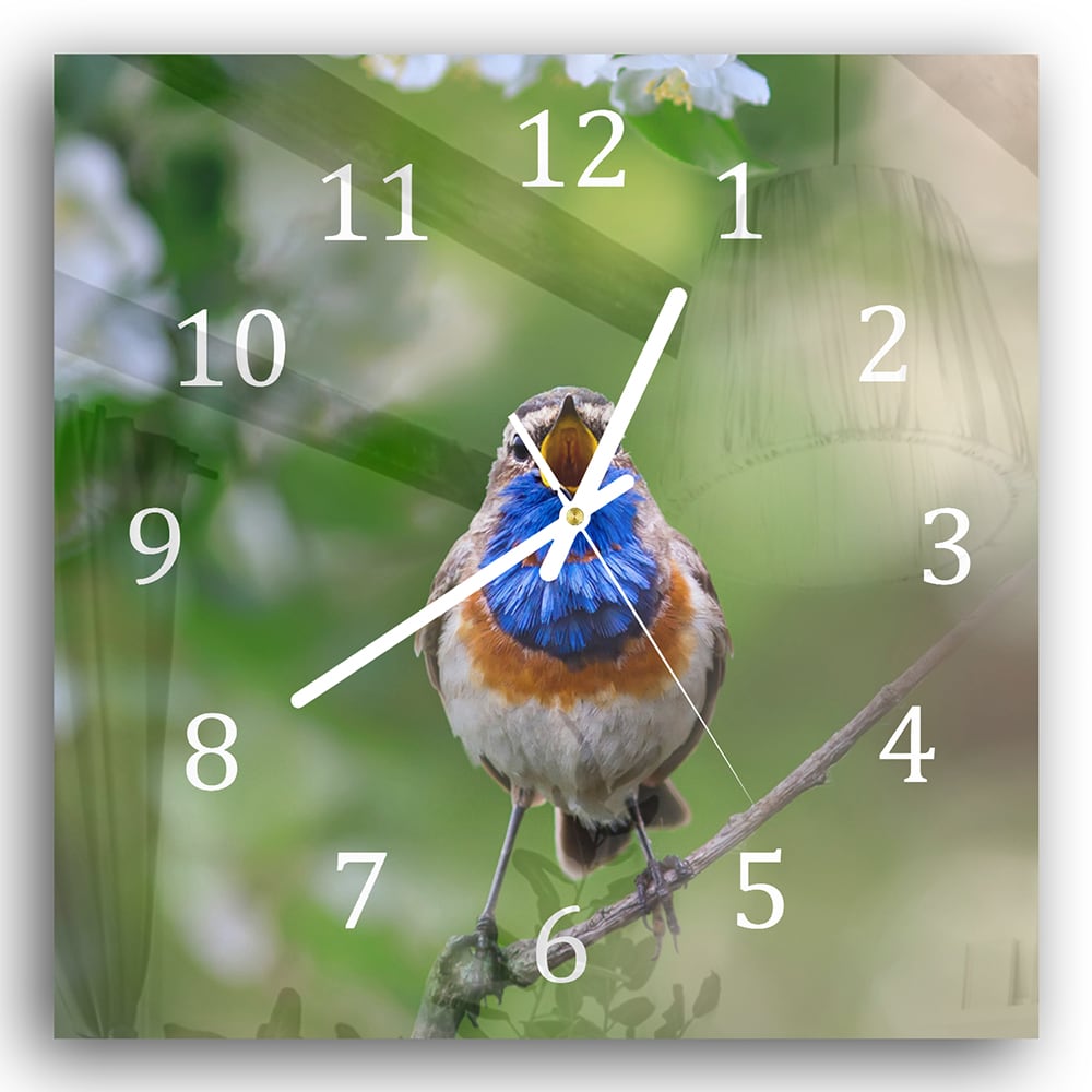 Wanduhr 30x30 - Süßes Blaukehlchen