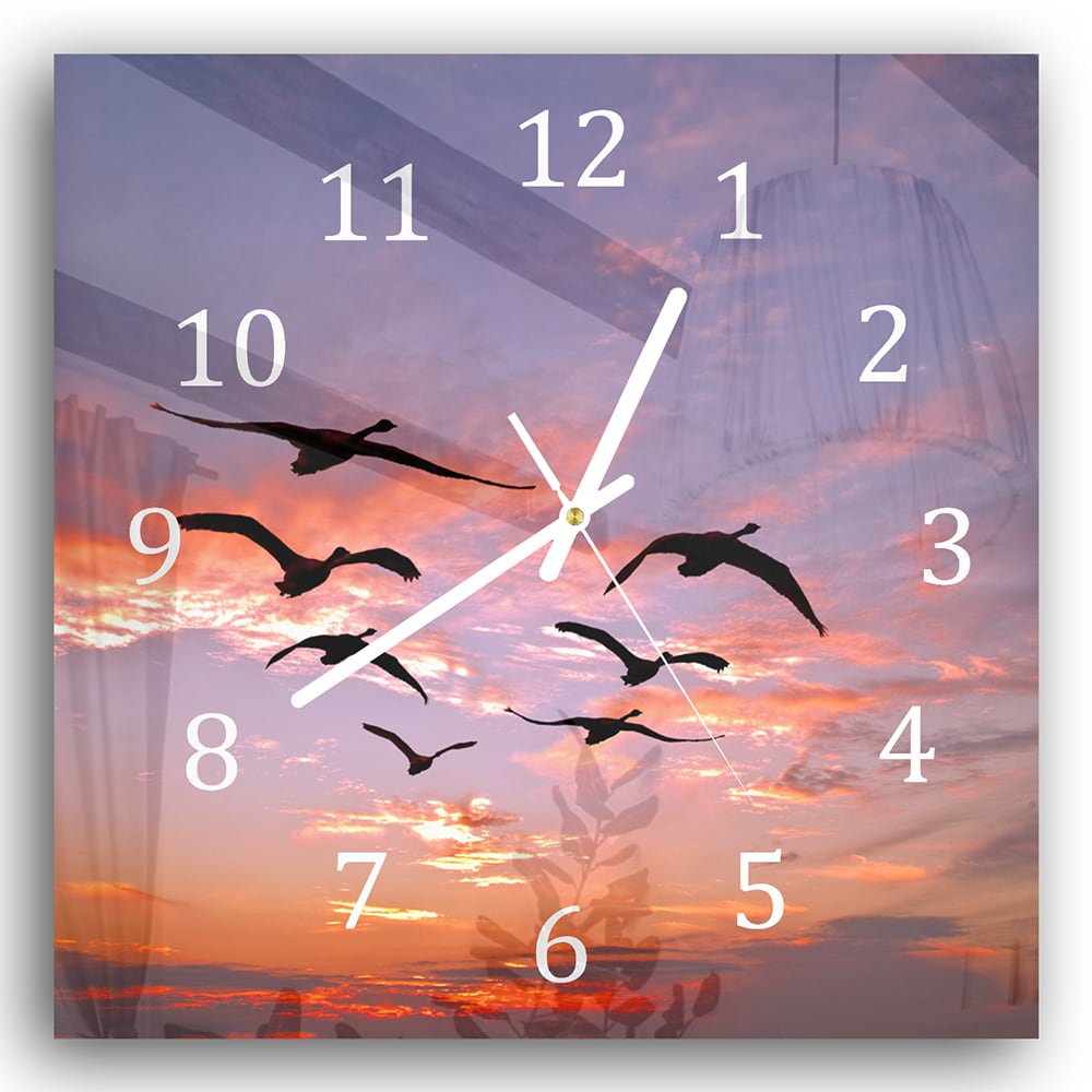 Wanduhr 30x30 - Schwanenschwarm