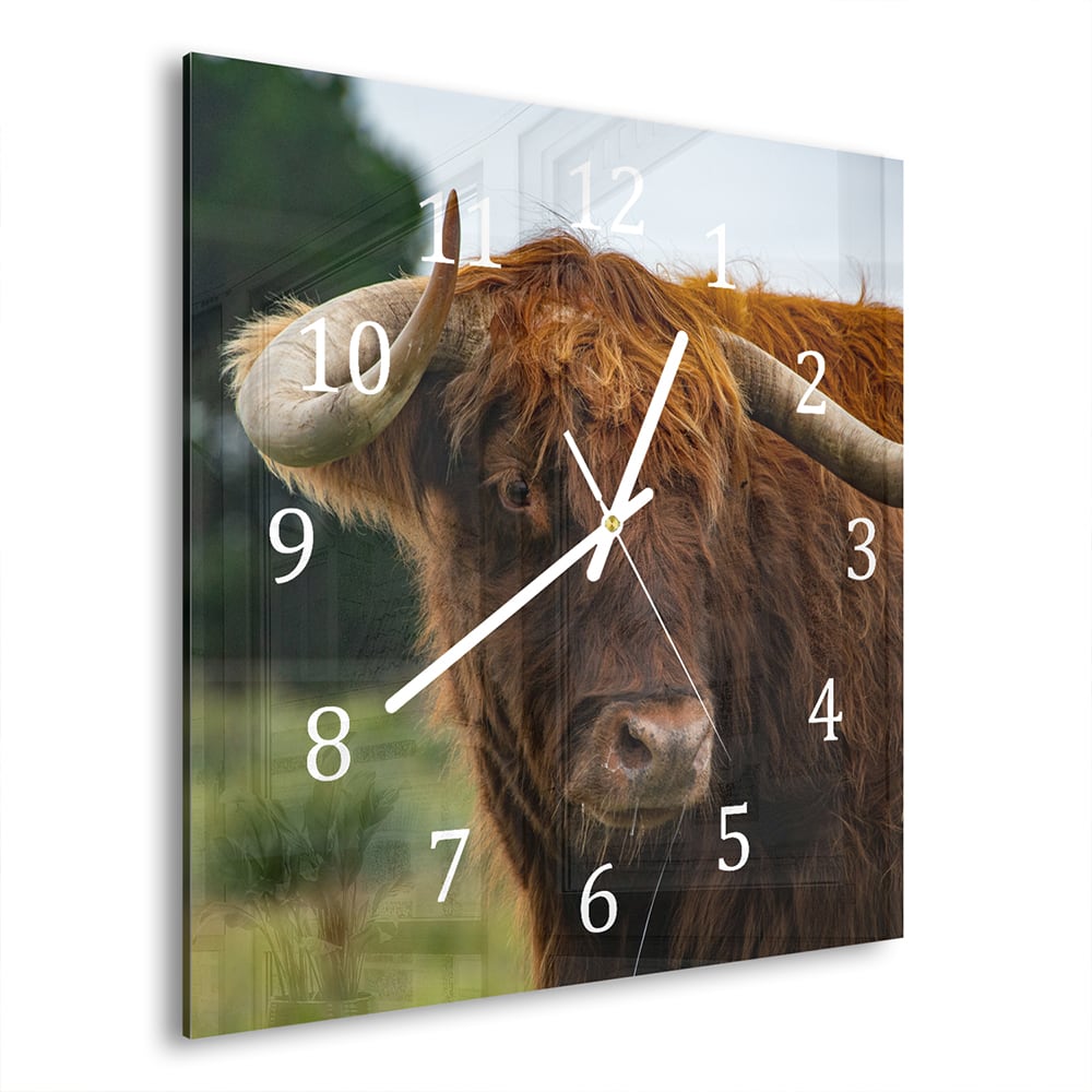 Wanduhr 30x30 - Schottisches Hochlandrind in der Natur
