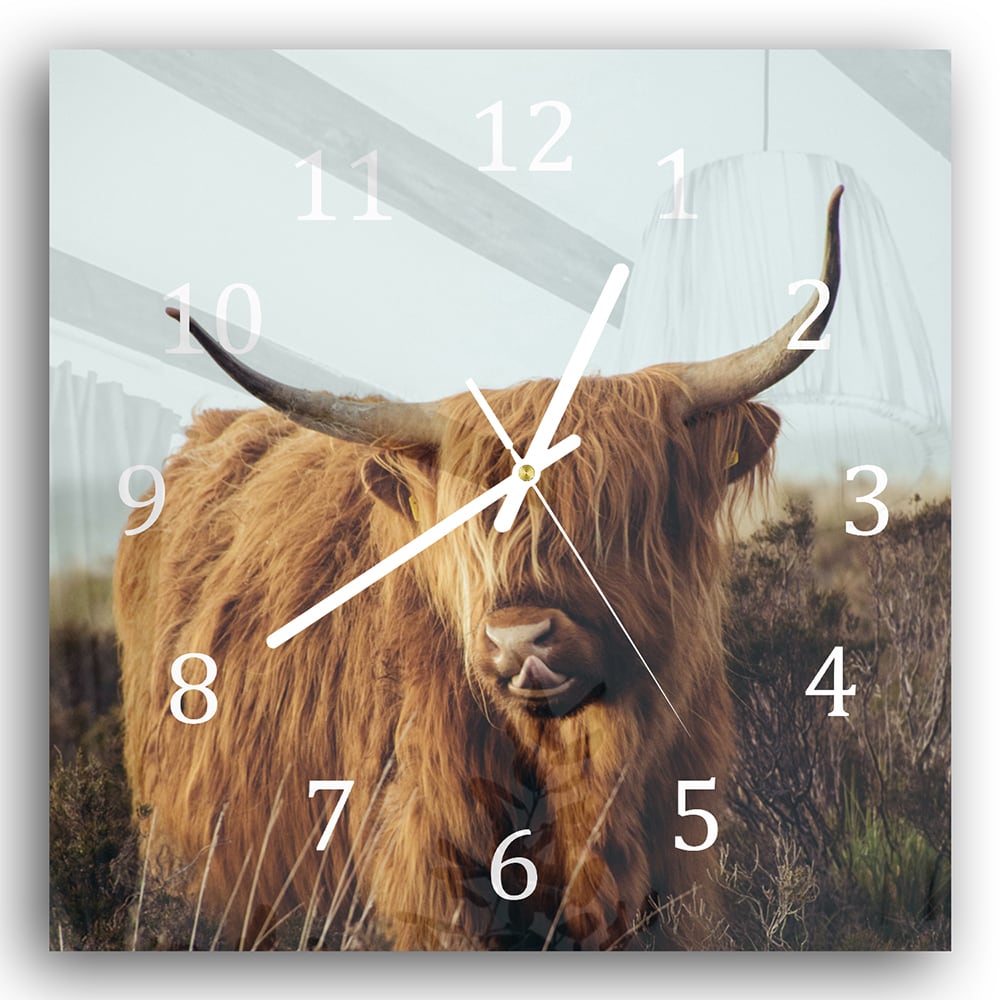 Wanduhr 30x30 - Schottisches Hochlandrind im Gras