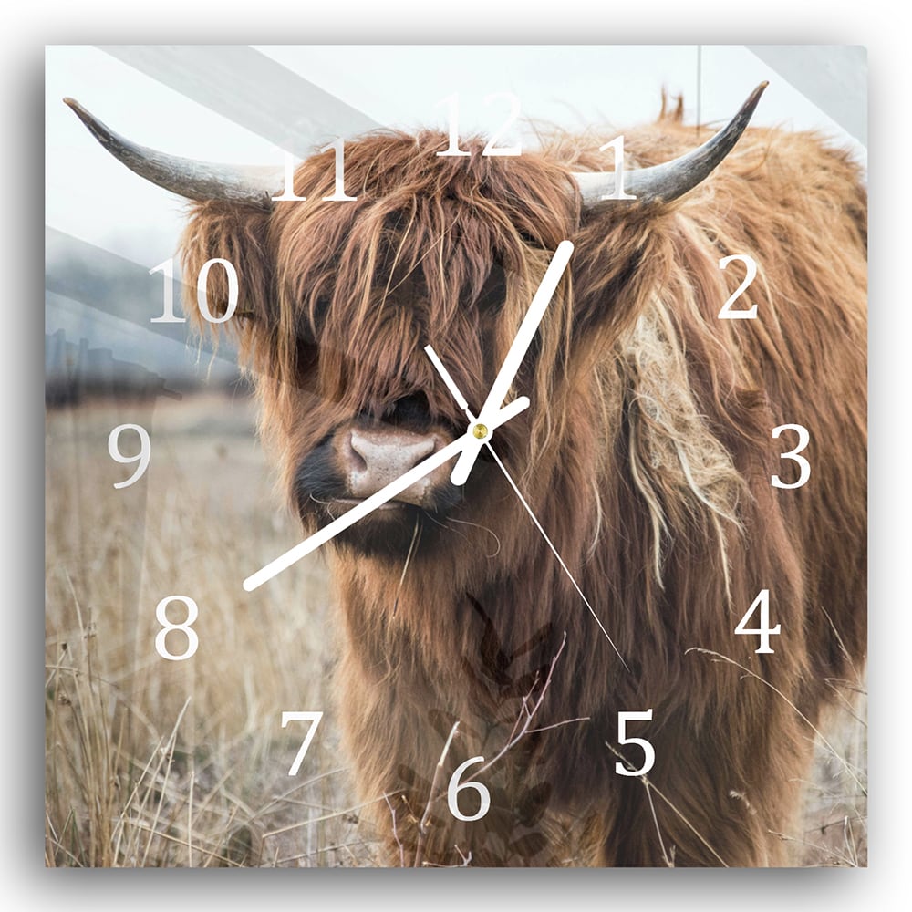Wanduhr 30x30 - Wilde Hochlandrinder