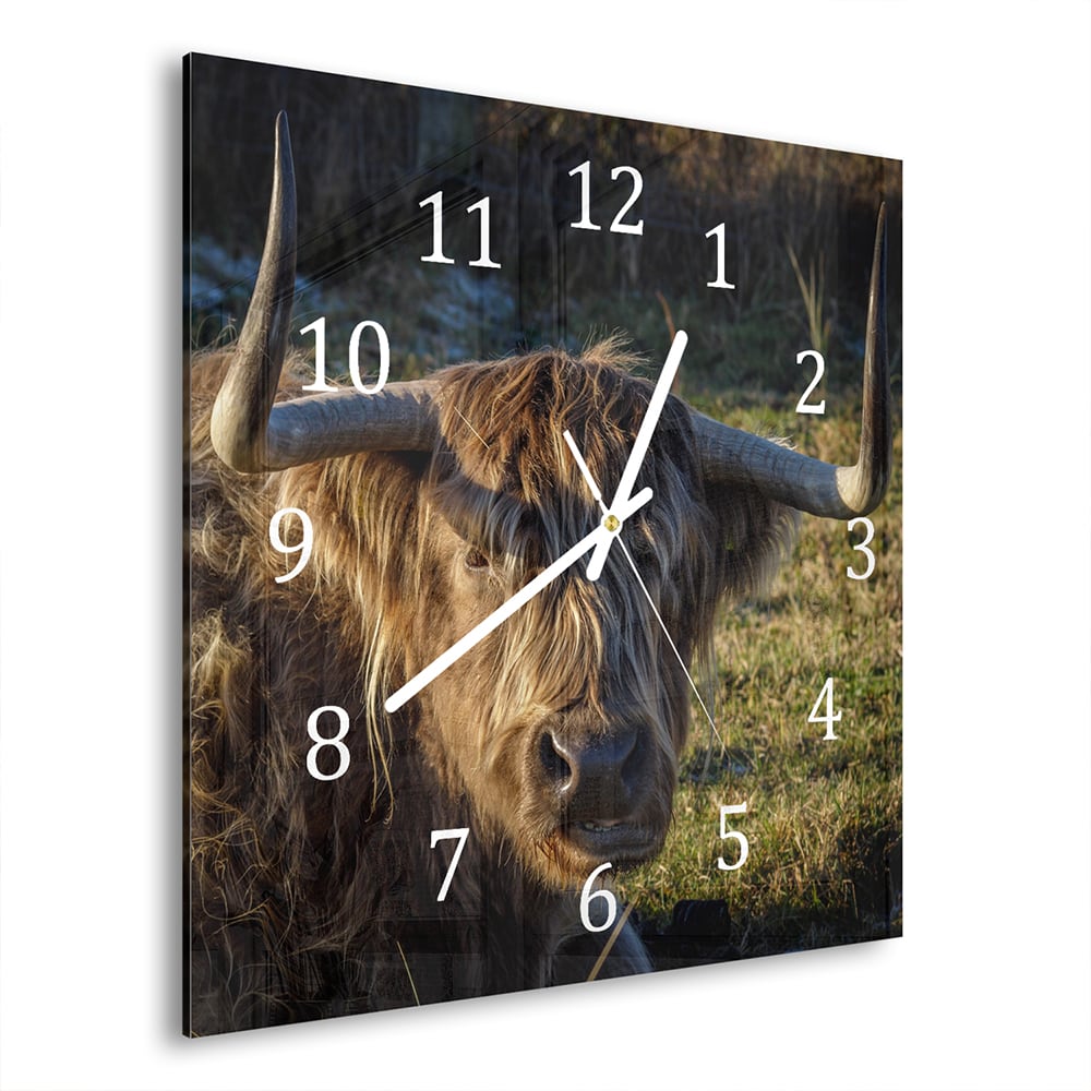 Wanduhr 30x30 - Schottisches Hochlandrind in der Sonne