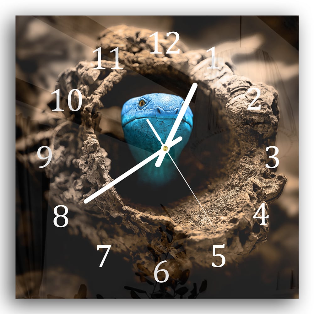 Wanduhr 30x30 - Verborgene Schlange