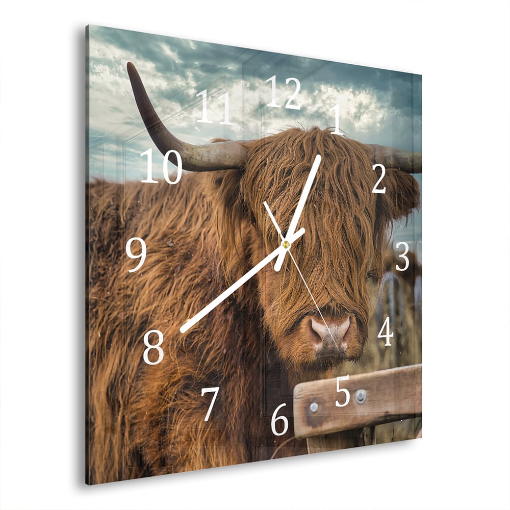 Wanduhr 30x30 - Schottisches Hochlandrind auf der Weide