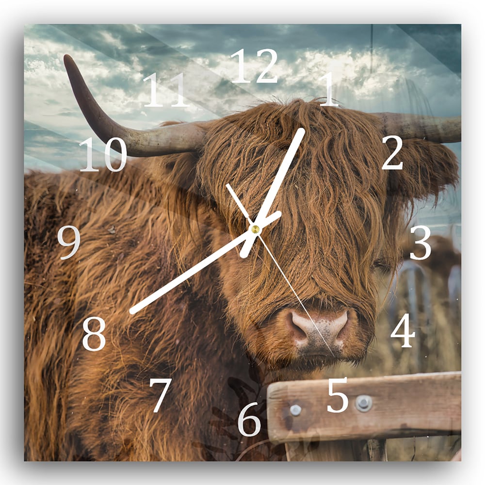Wanduhr 30x30 - Schottisches Hochlandrind auf der Weide