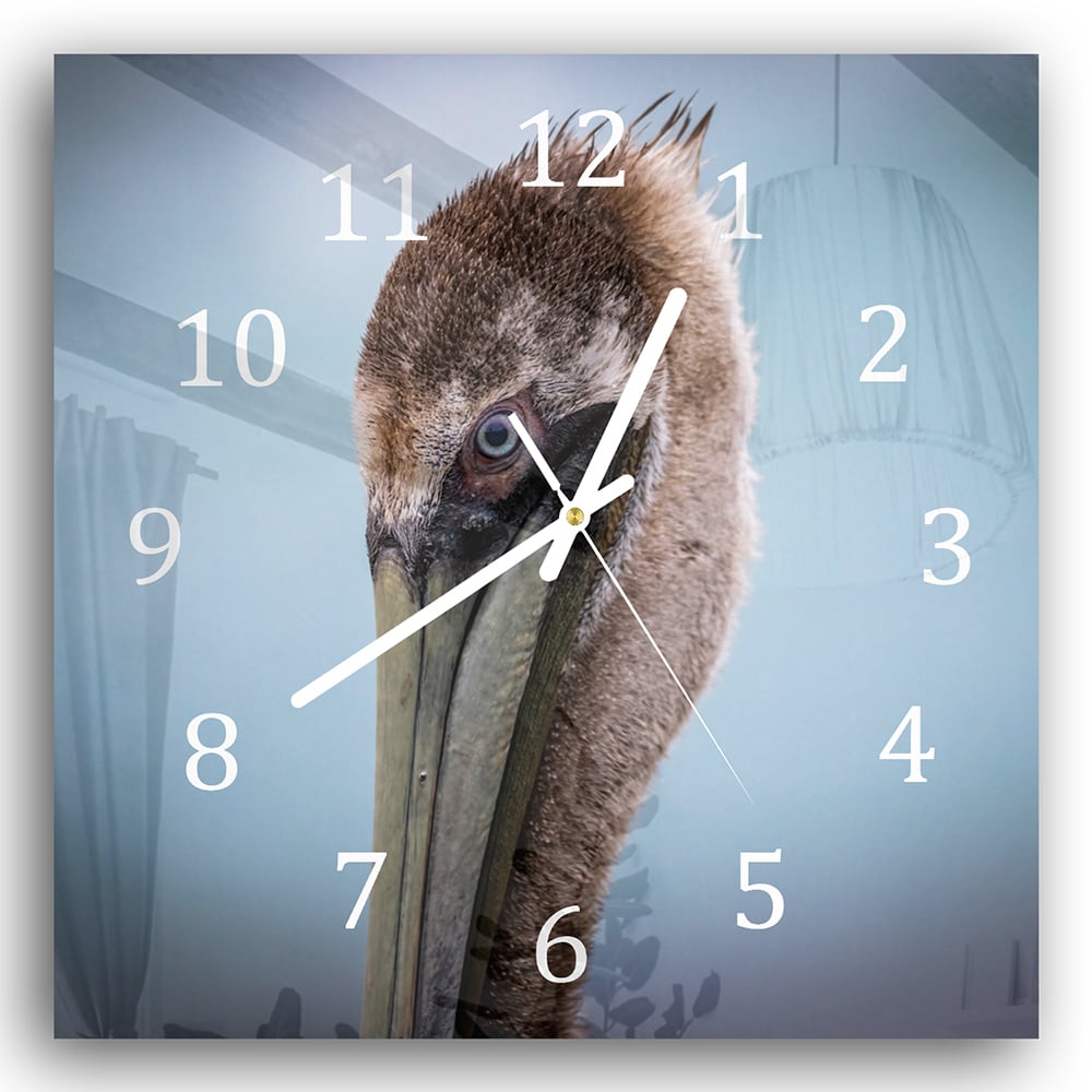 Wanduhr 30x30 - Majestätischer Pelikan