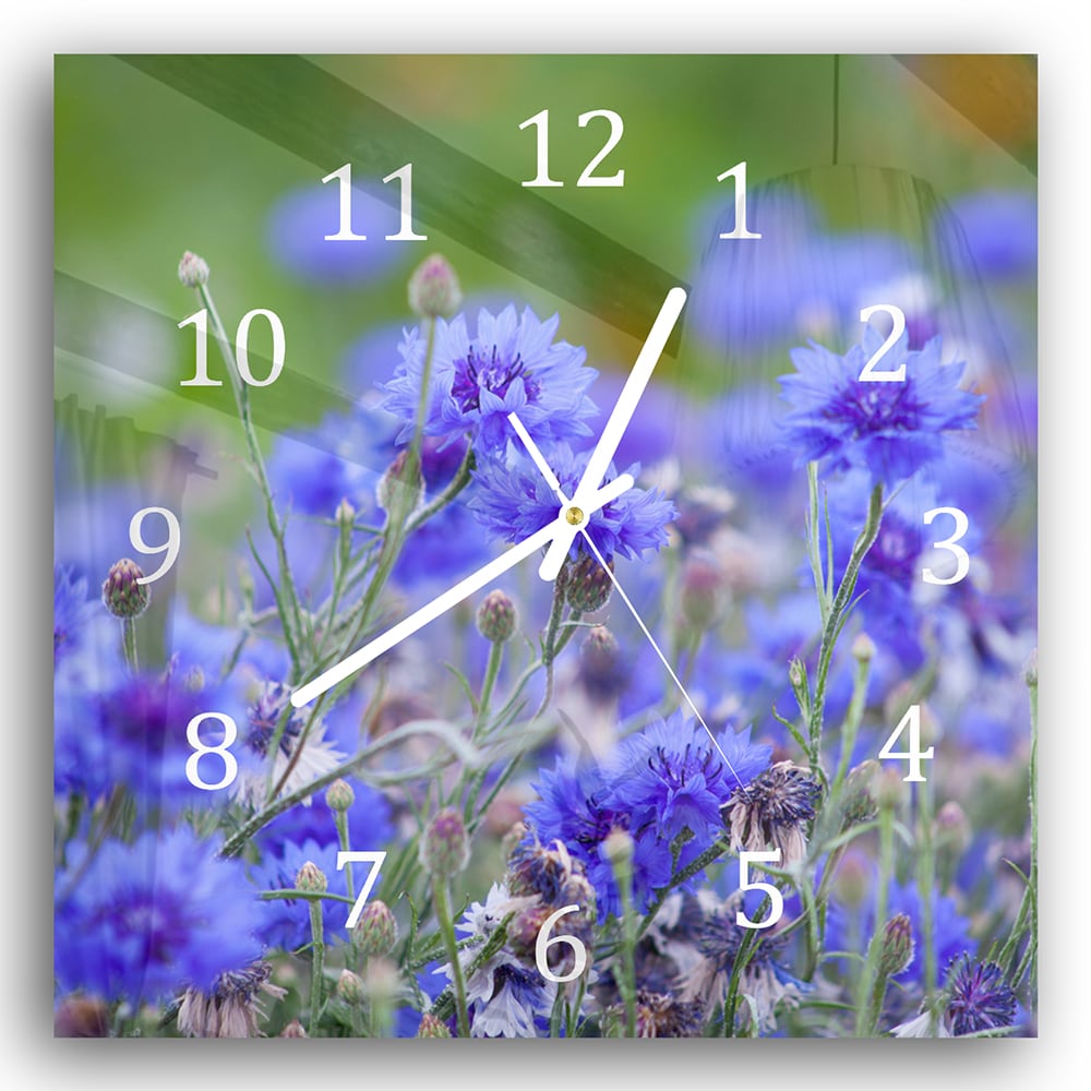 Wanduhr 30x30 - Kornblumen in Blüte