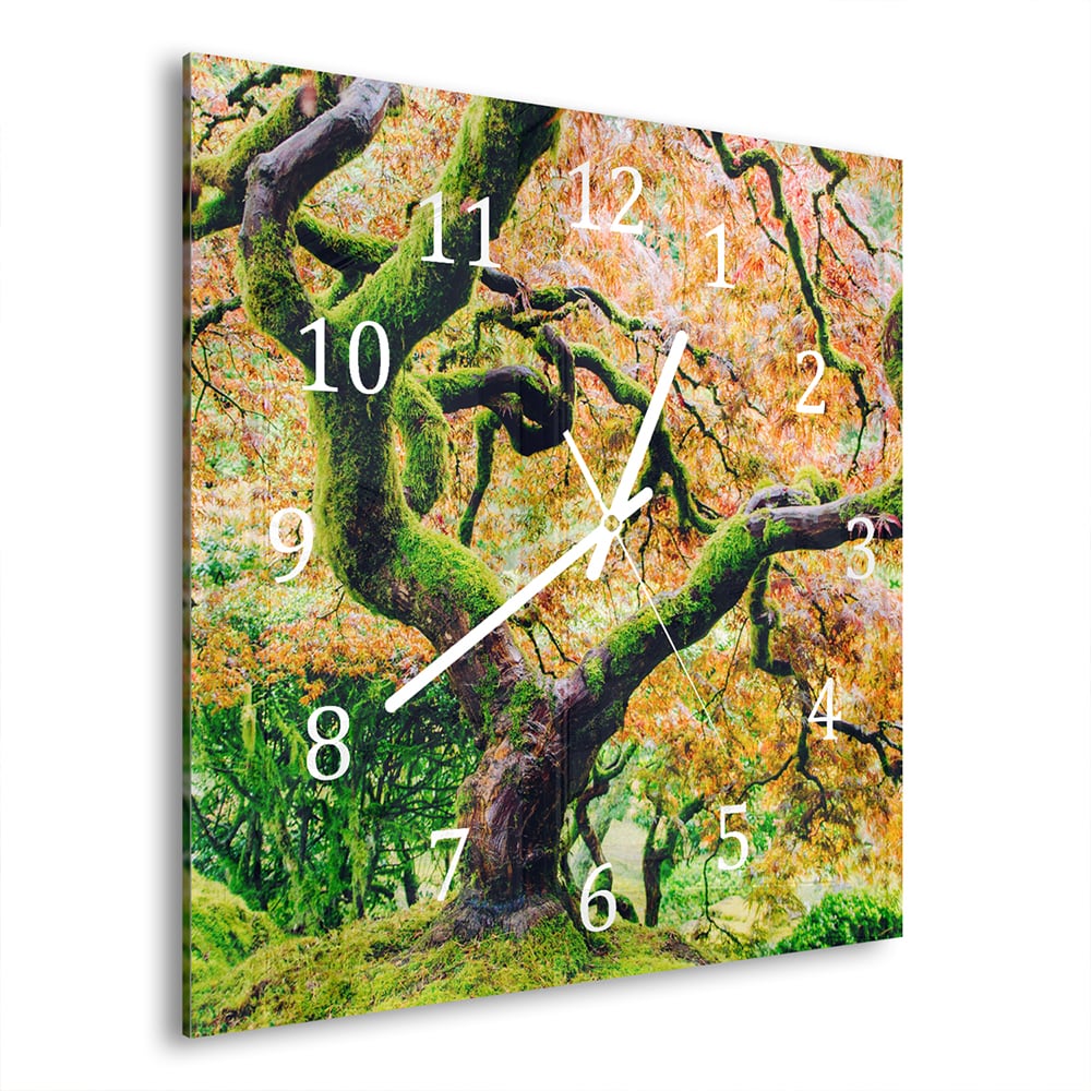 Wanduhr 30x30 - Moosiger Baum im Herbst