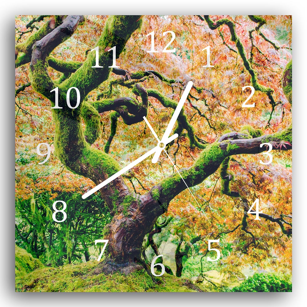 Wanduhr 30x30 - Moosiger Baum im Herbst