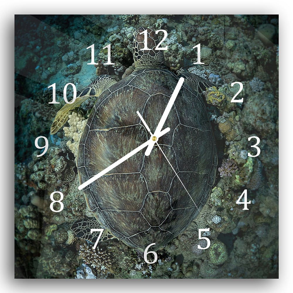 Wanduhr 30x30 - Schildkröte und Korallen