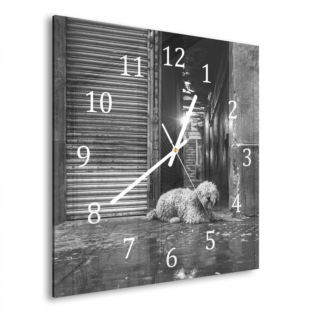 Wanduhr 30x30 - Schwarz-weiß Hund auf der Straße
