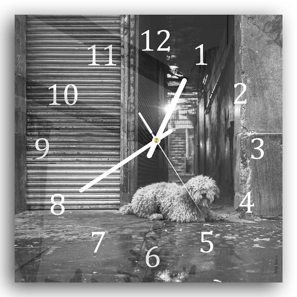 Wanduhr 30x30 - Schwarz-weiß Hund auf der Straße