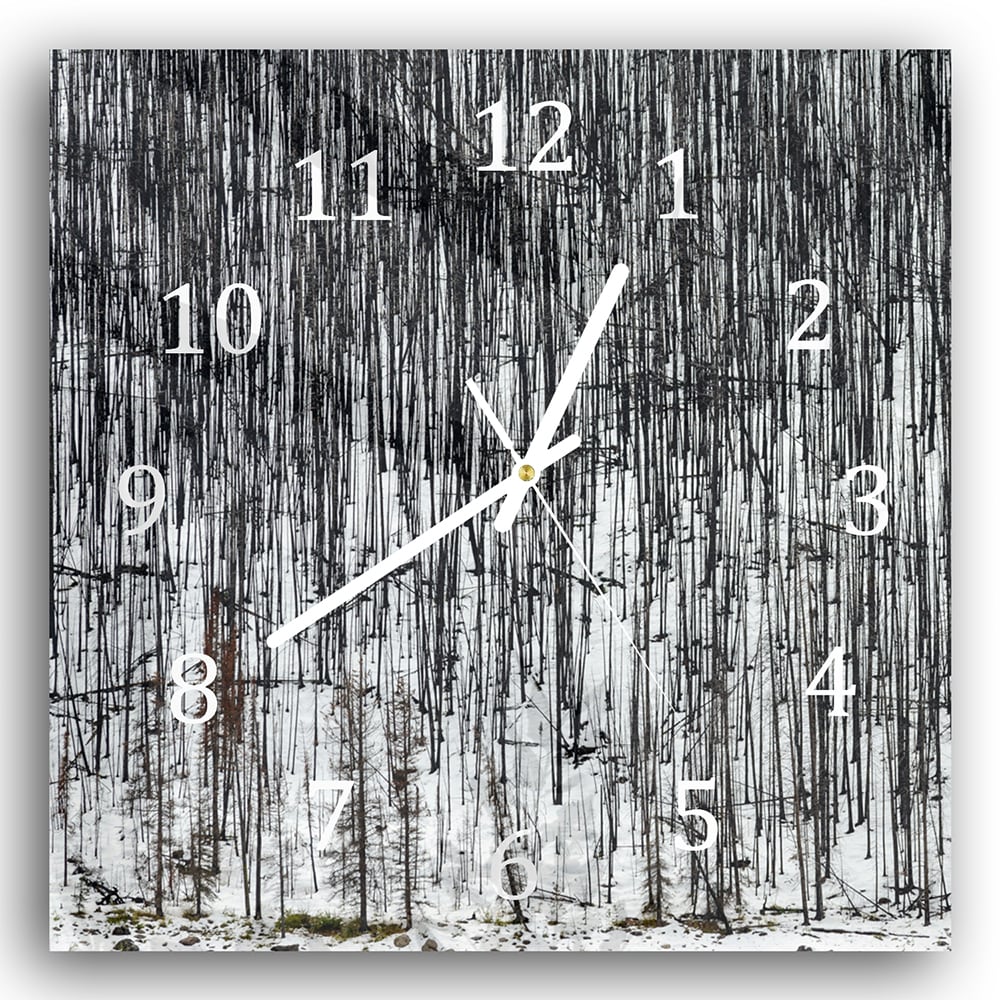 Wanduhr 30x30 - Winterwald