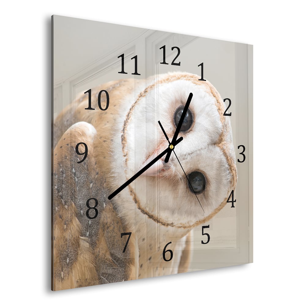 Wanduhr 30x30 - Schleiereule