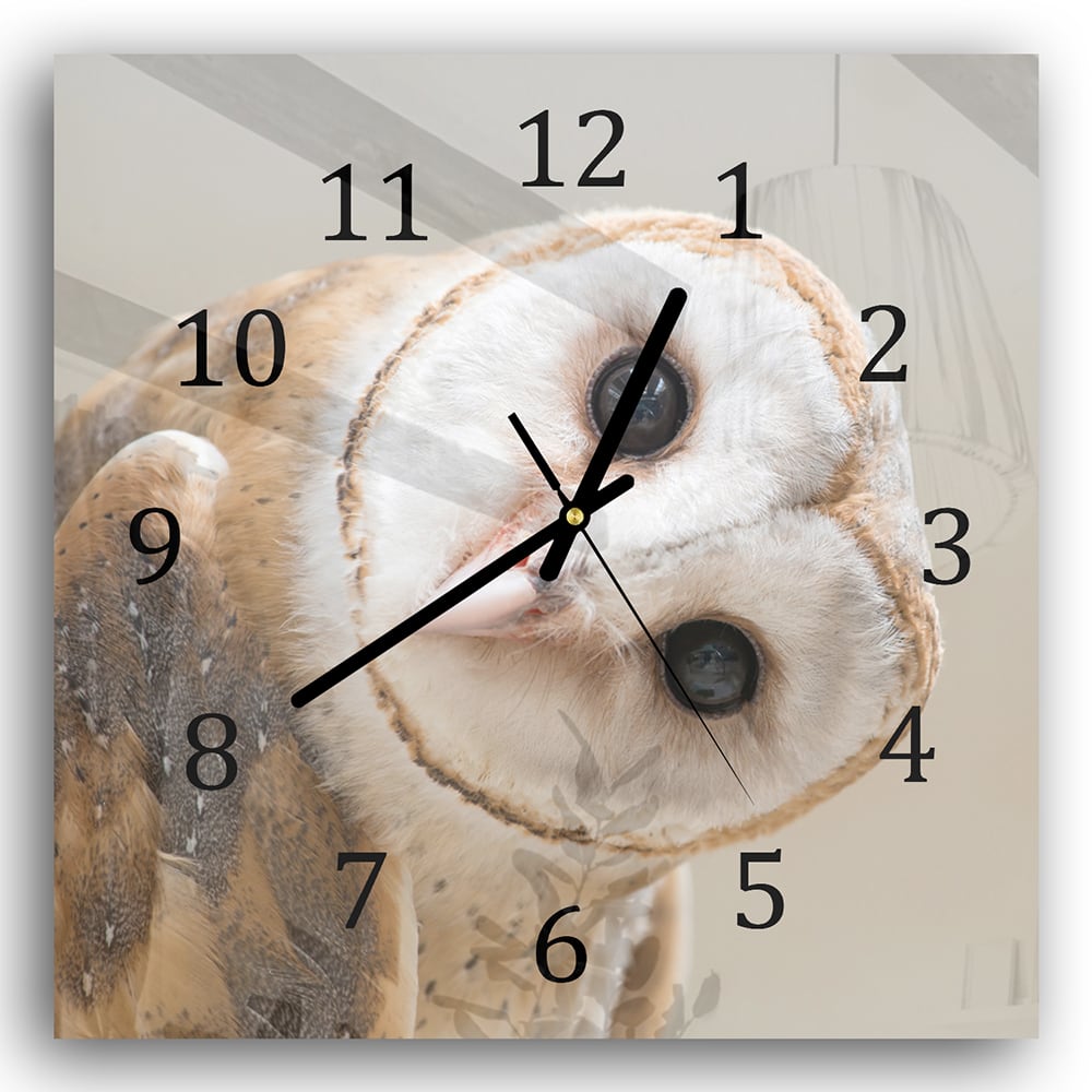 Wanduhr 30x30 - Schleiereule