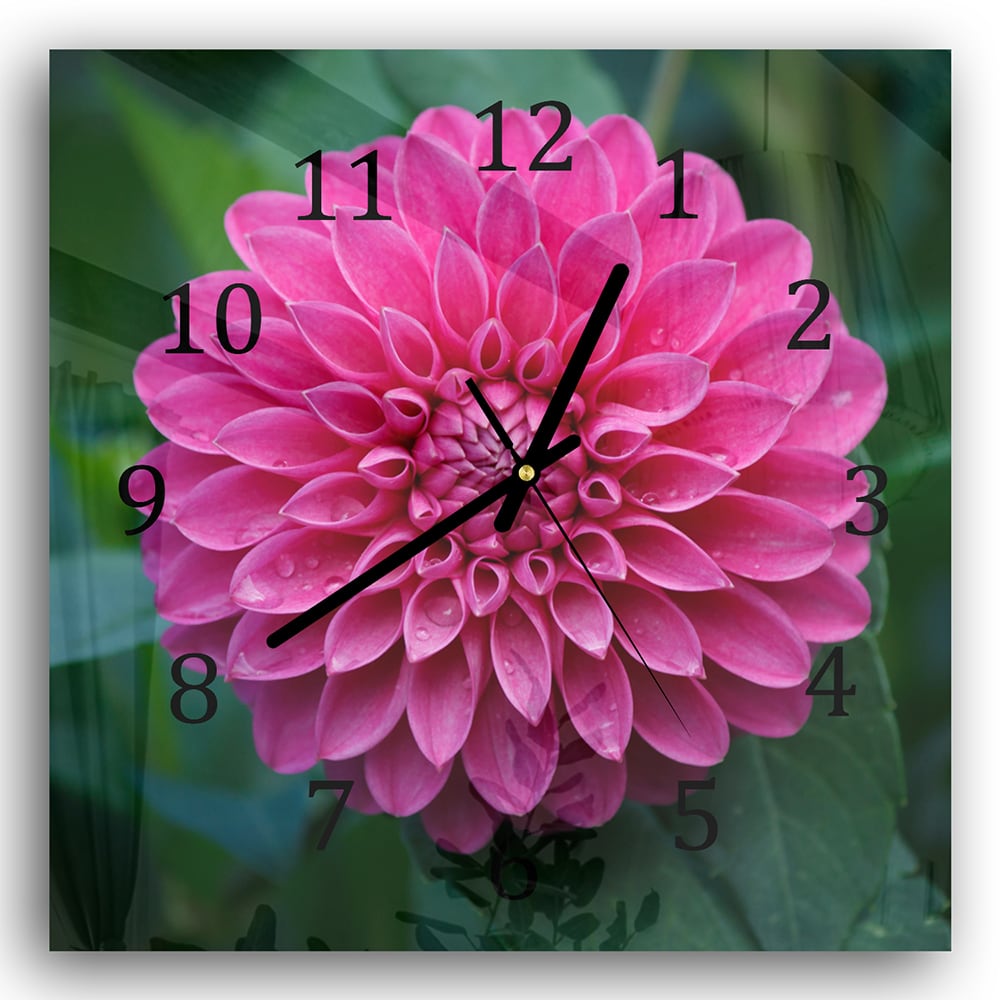 Wanduhr 30x30 - Rosa Dahlie