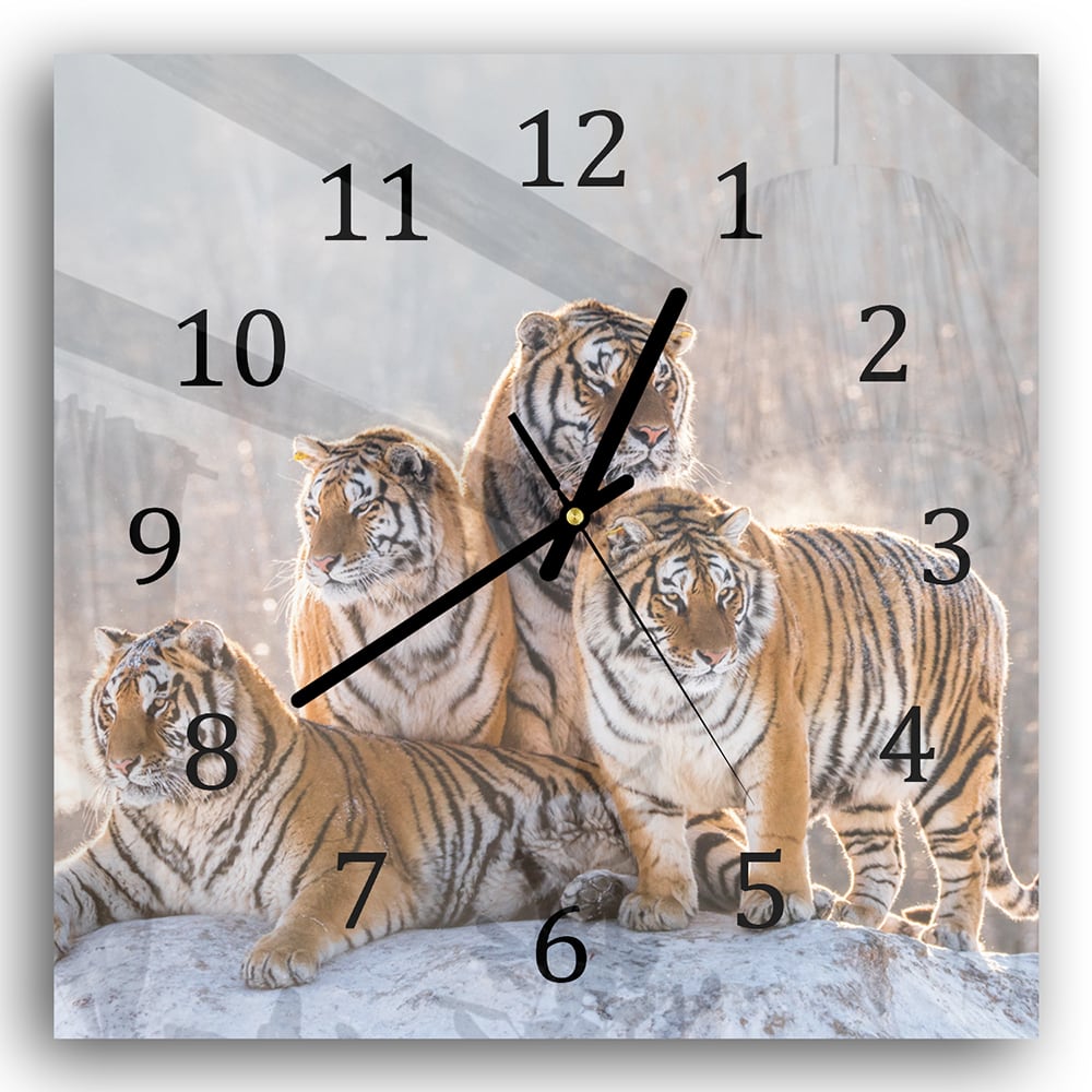 Wanduhr 30x30 - Gruppe von Tigern