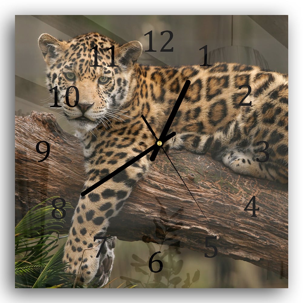 Wanduhr 30x30 - Jaguar auf dem Baum