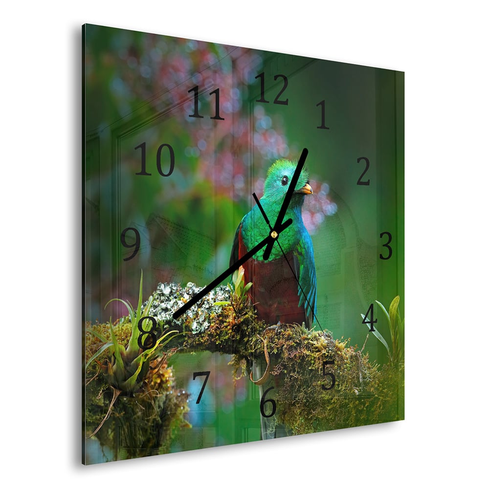 Wanduhr 30x30 - Quetzal-Vogel