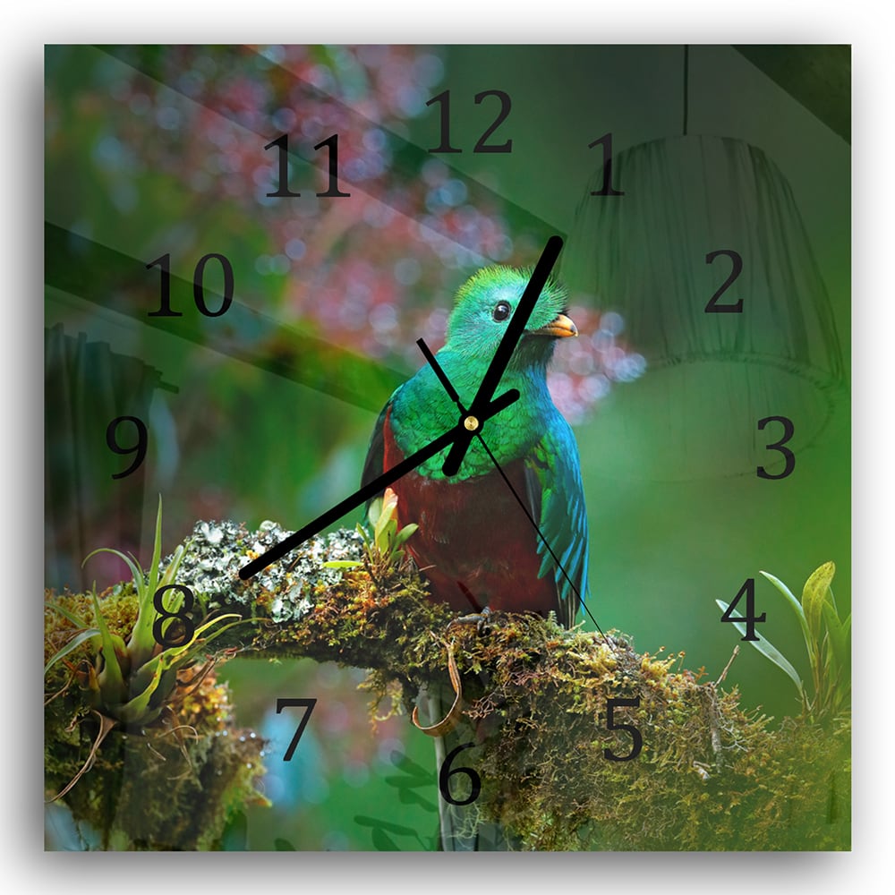 Wanduhr 30x30 - Quetzal-Vogel