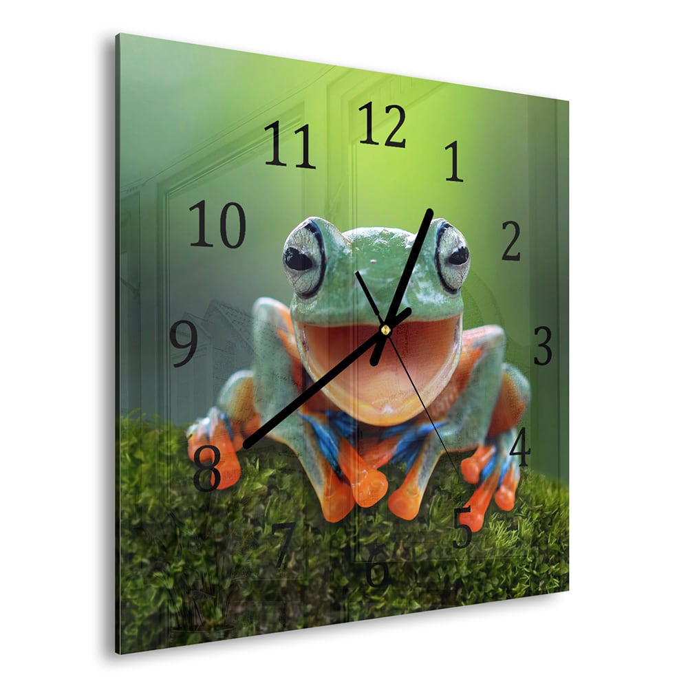 Wanduhr 30x30 - Baumfrosch