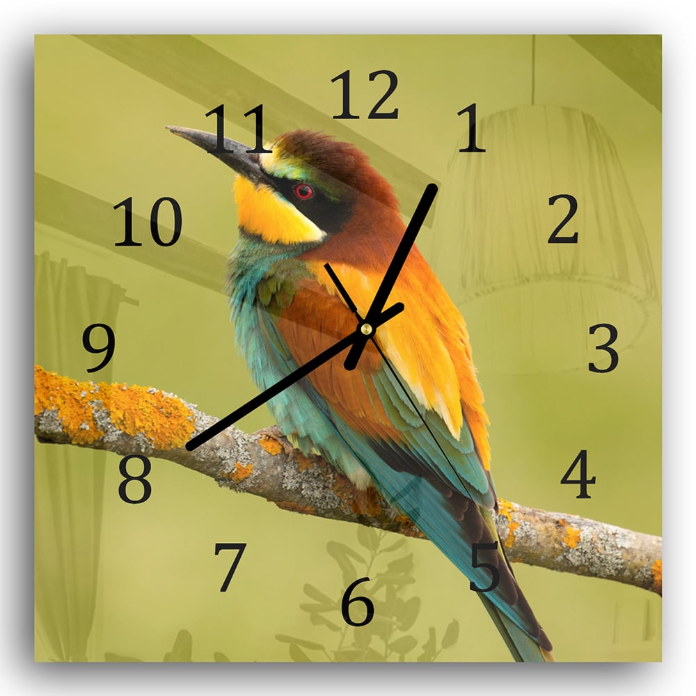 Wanduhr 30x30 - Bunter Vogel