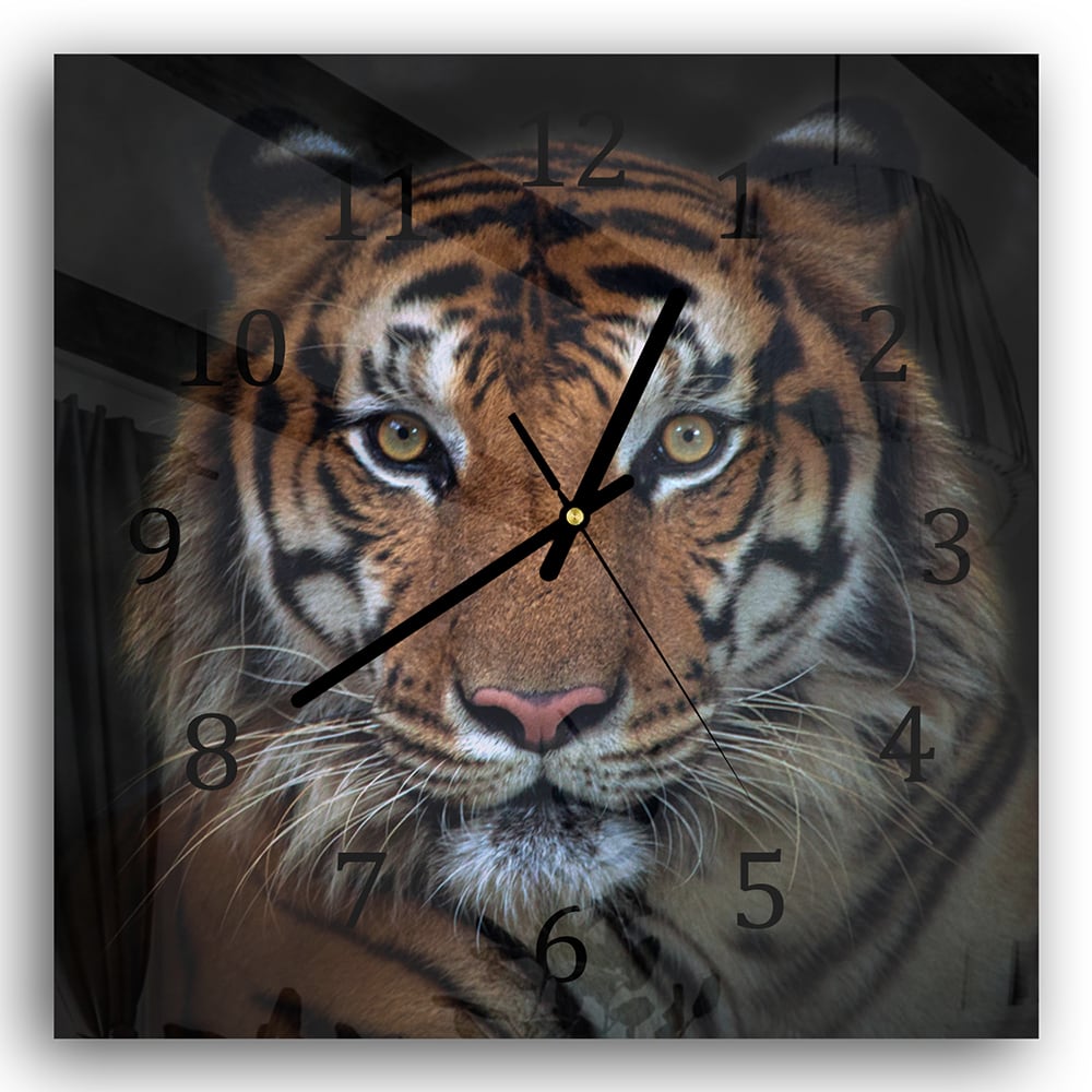 Wanduhr 30x30 - Sumatra böser Tiger