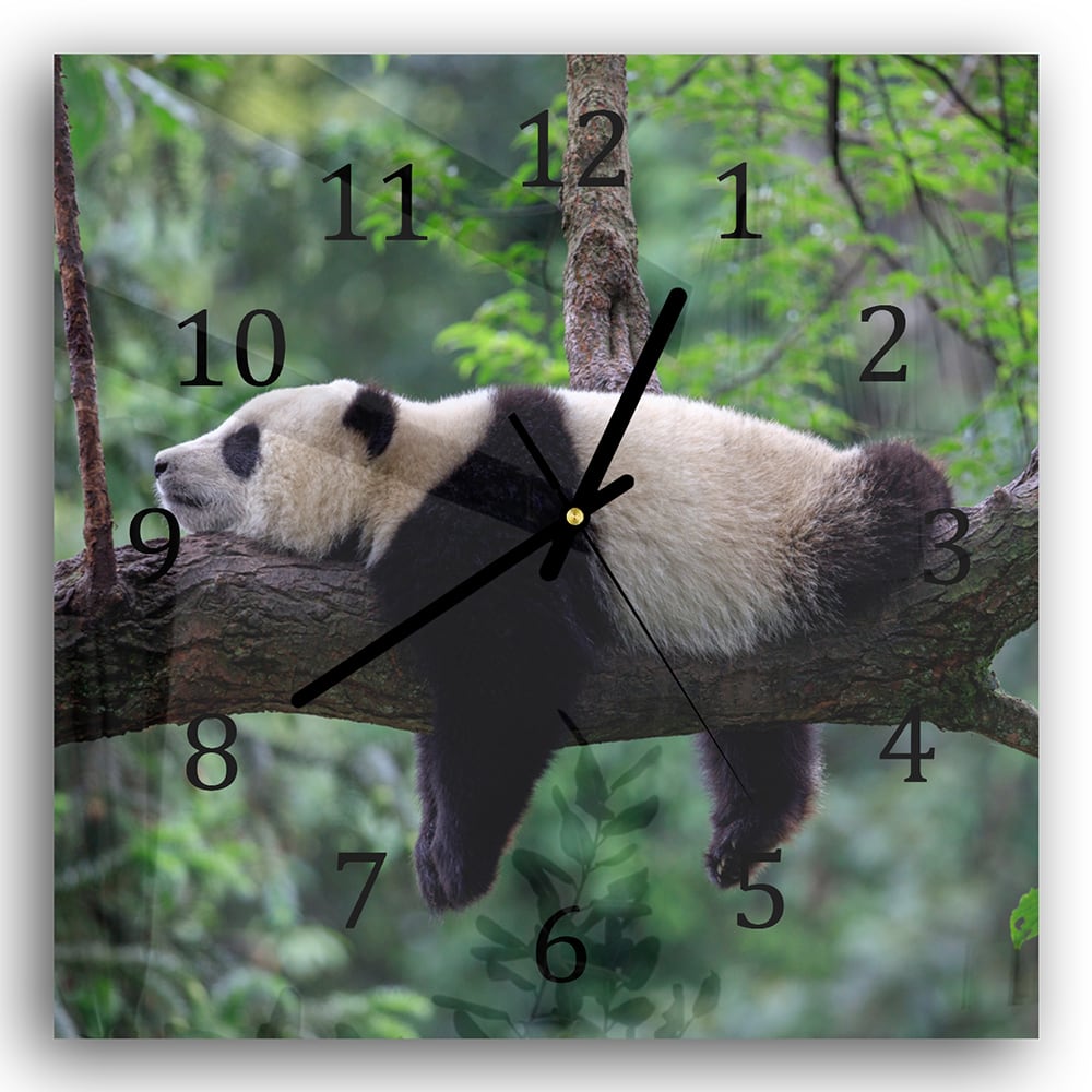 Wanduhr 30x30 - Panda